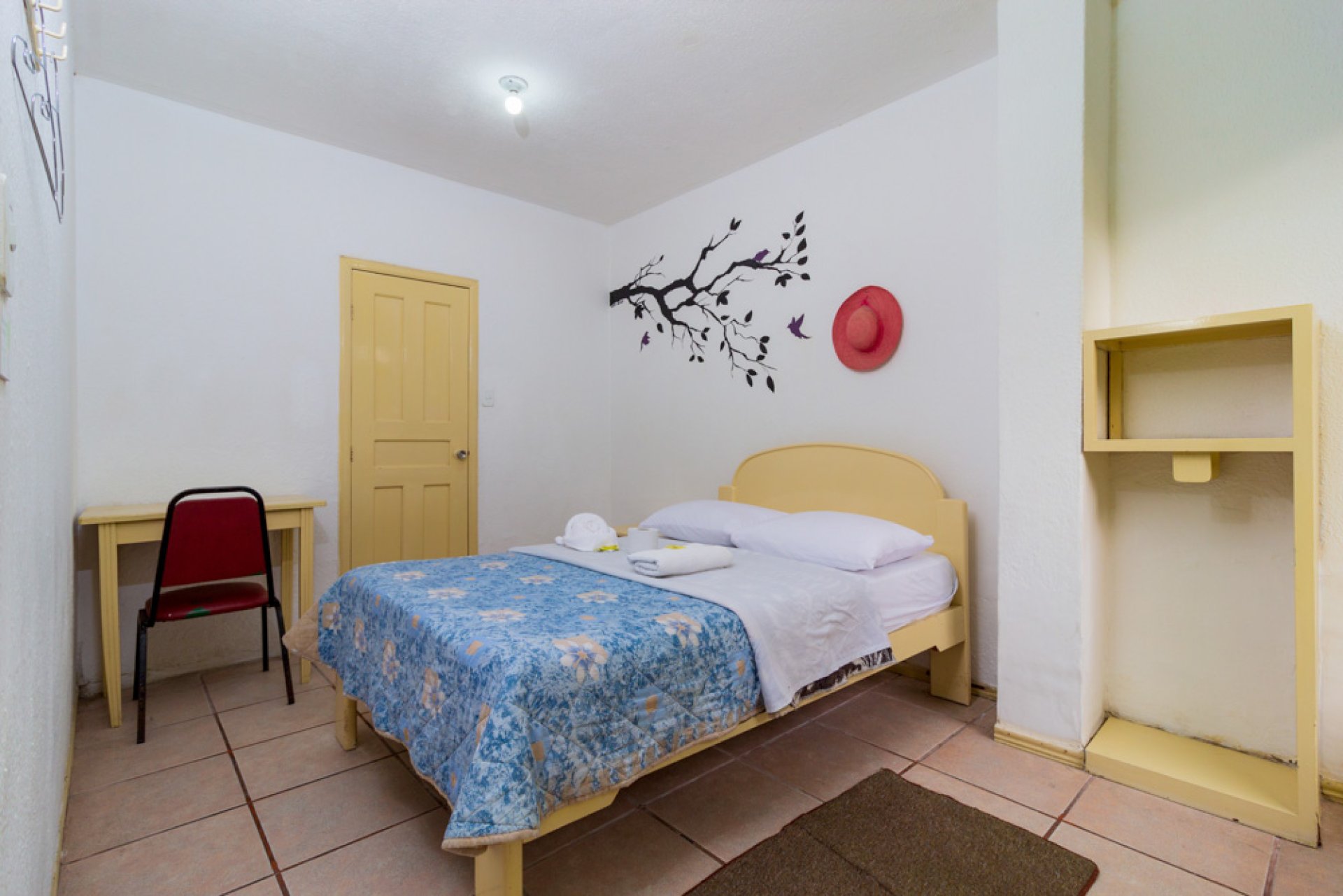 Santa Cruz Backpacker´s