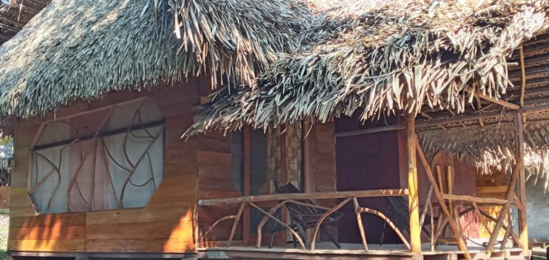 Sacha Ñampi Ecolodge- Tour Yasuní Amazonia Ecuador