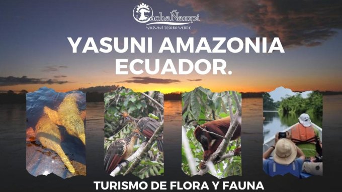 Sacha Ñampi Ecolodge- Tour Yasuní Amazonia Ecuador