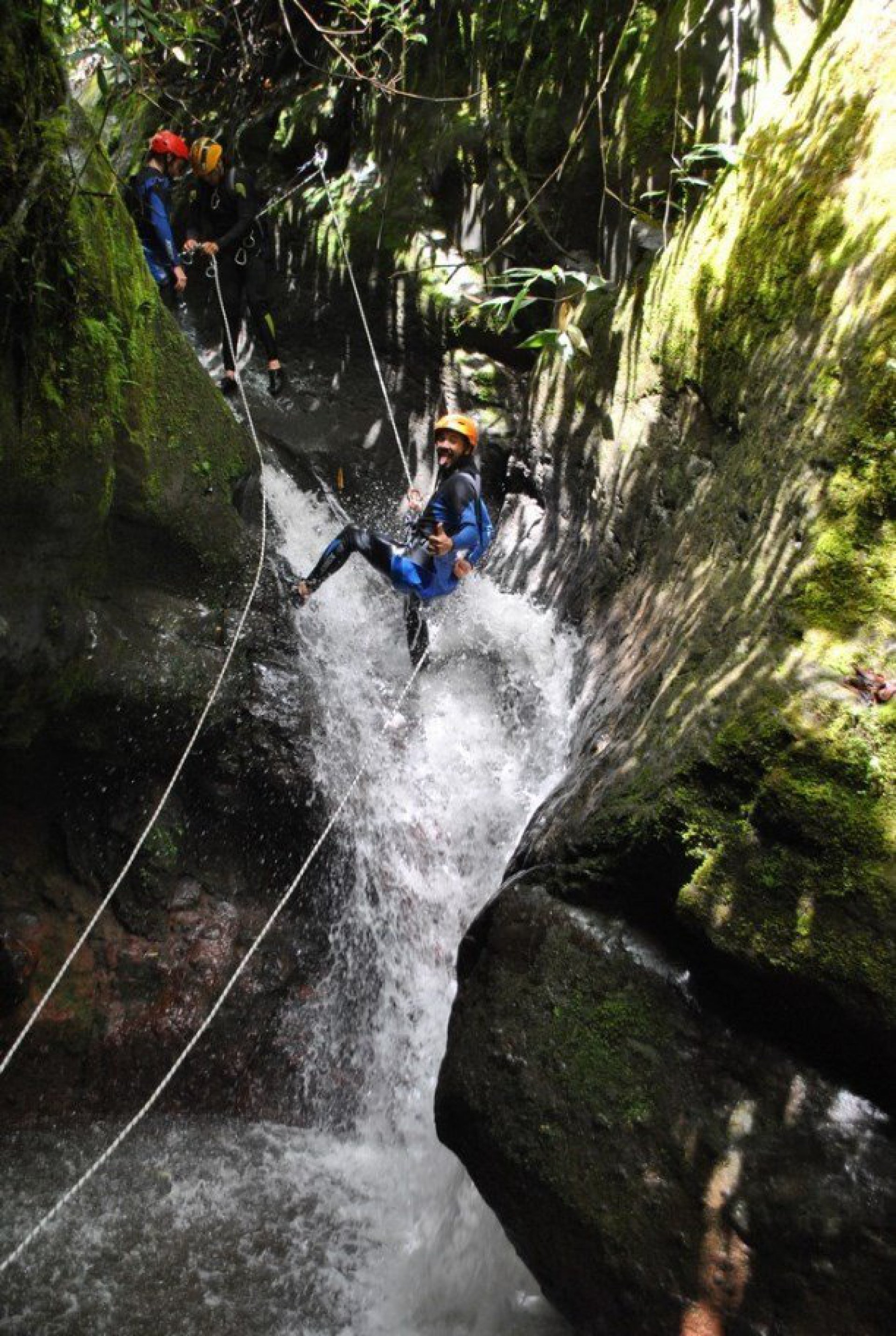 Puntzan Canopy