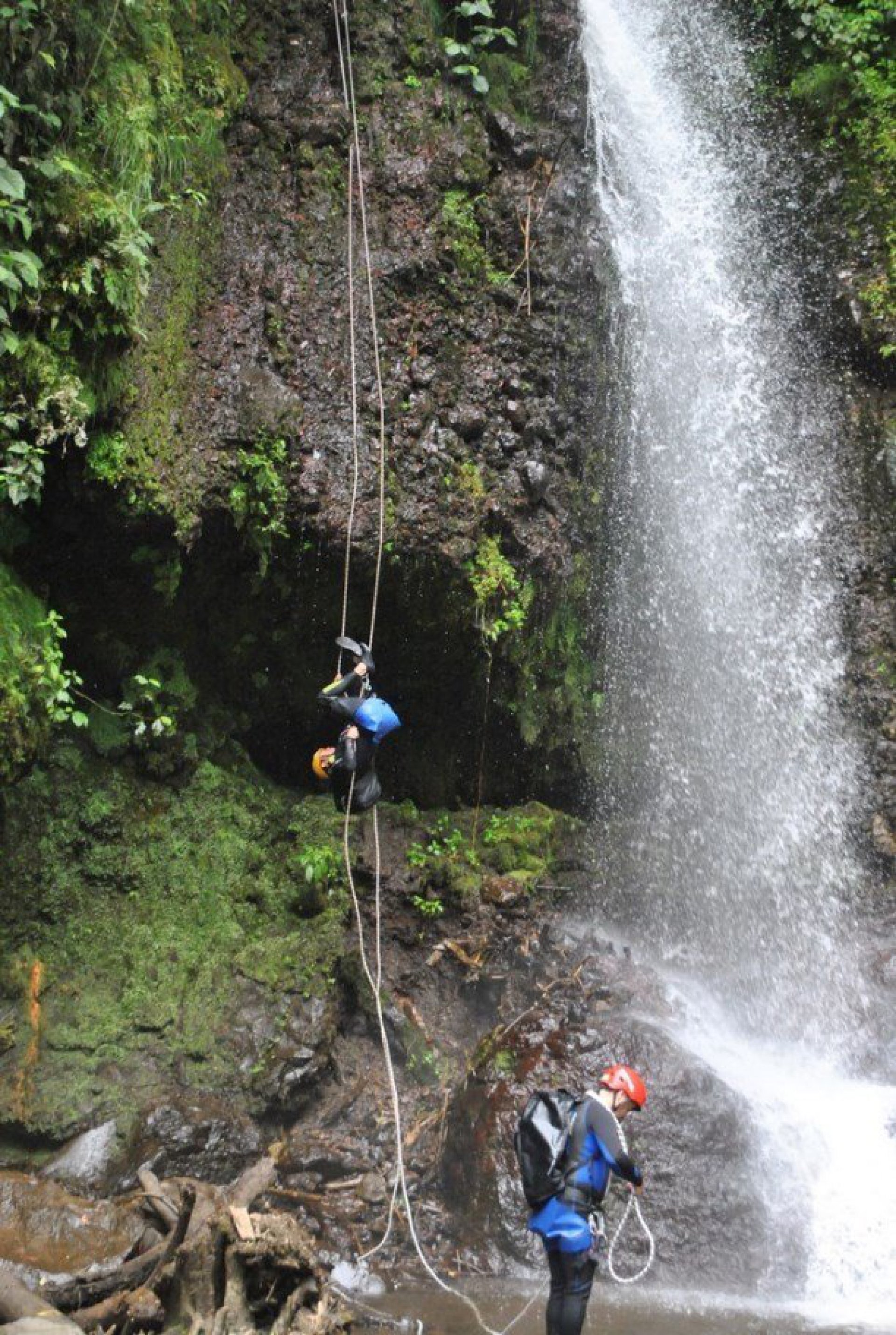 Puntzan Canopy