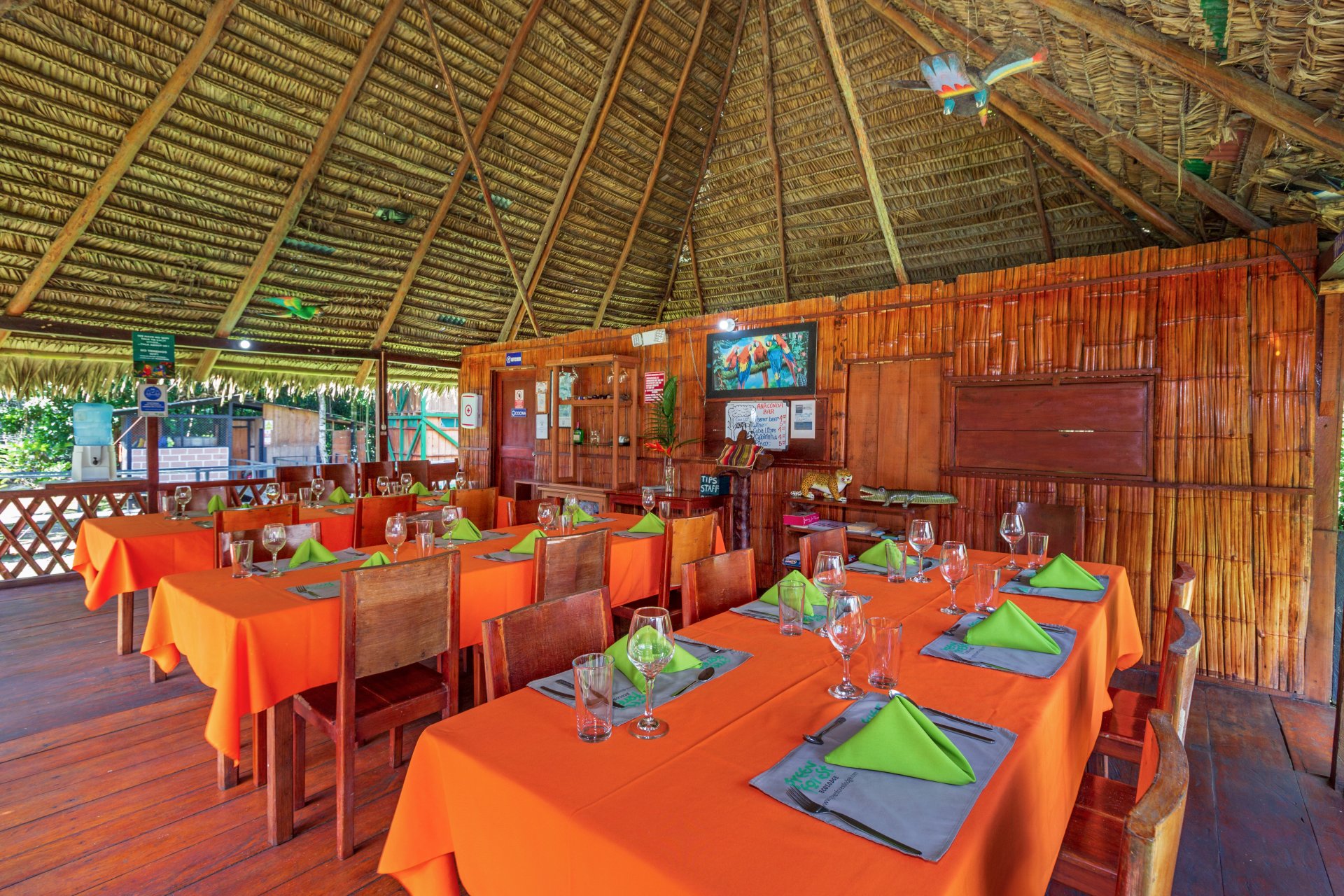 Vive la Selva en Cuyabeno 5 Días 4 Noches - Compartida