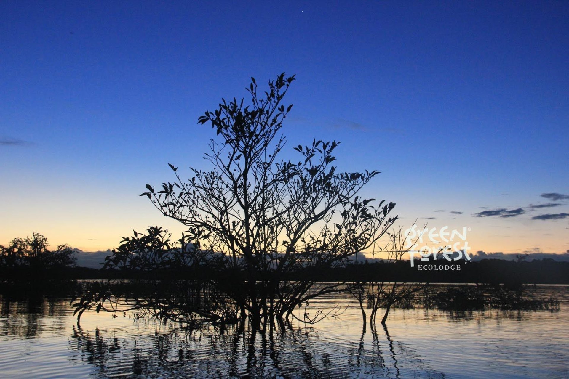 Vive la Selva en Cuyabeno 5 Días 4 Noches - Compartida