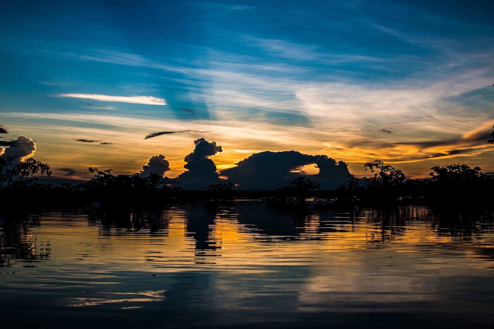 Vive la Selva en Cuyabeno 5 Días 4 Noches - Privada