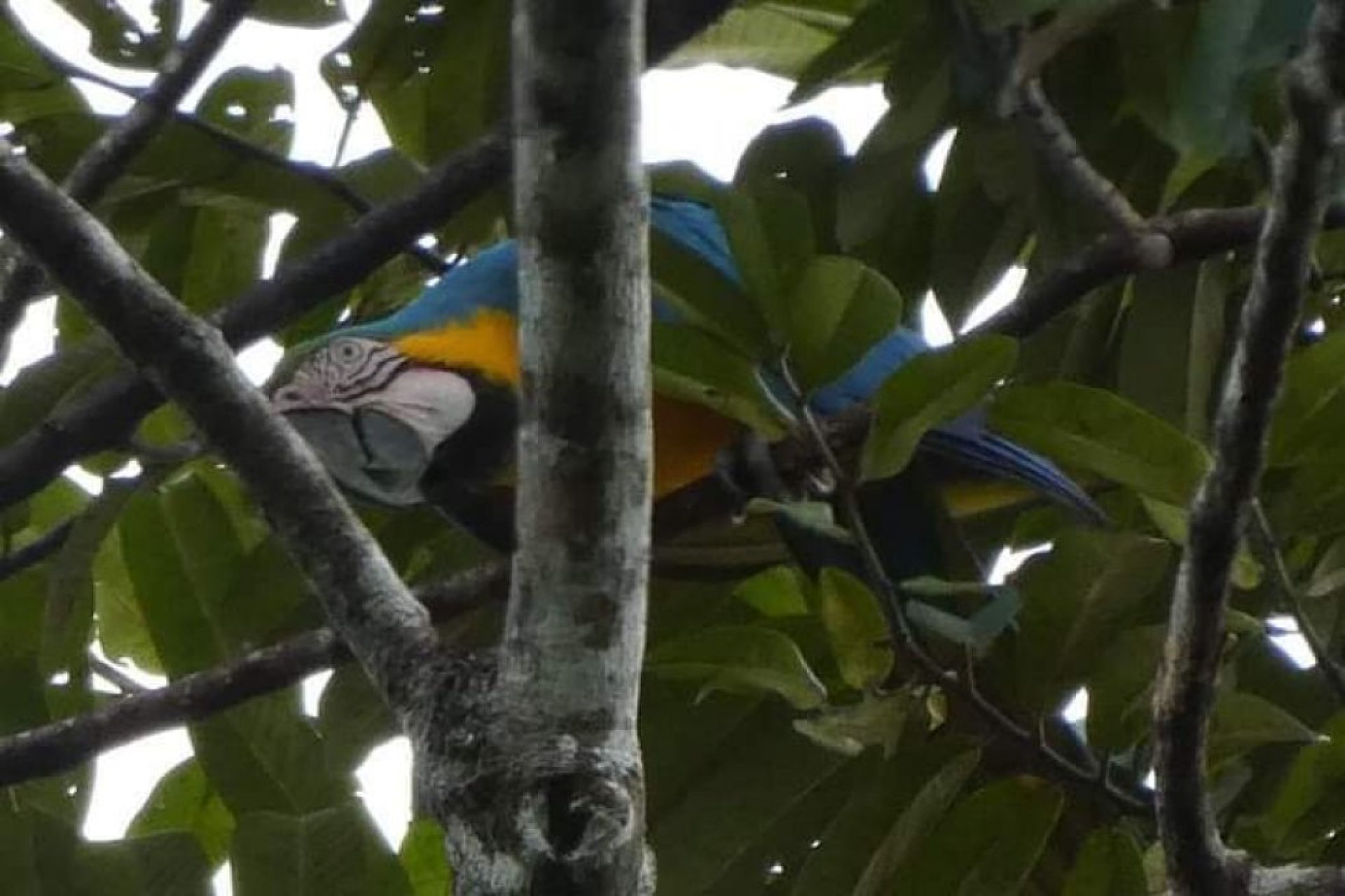EXPLORANDO  EL SENDERO DEL JAGUAR 4 DIAS  3 NOCHES