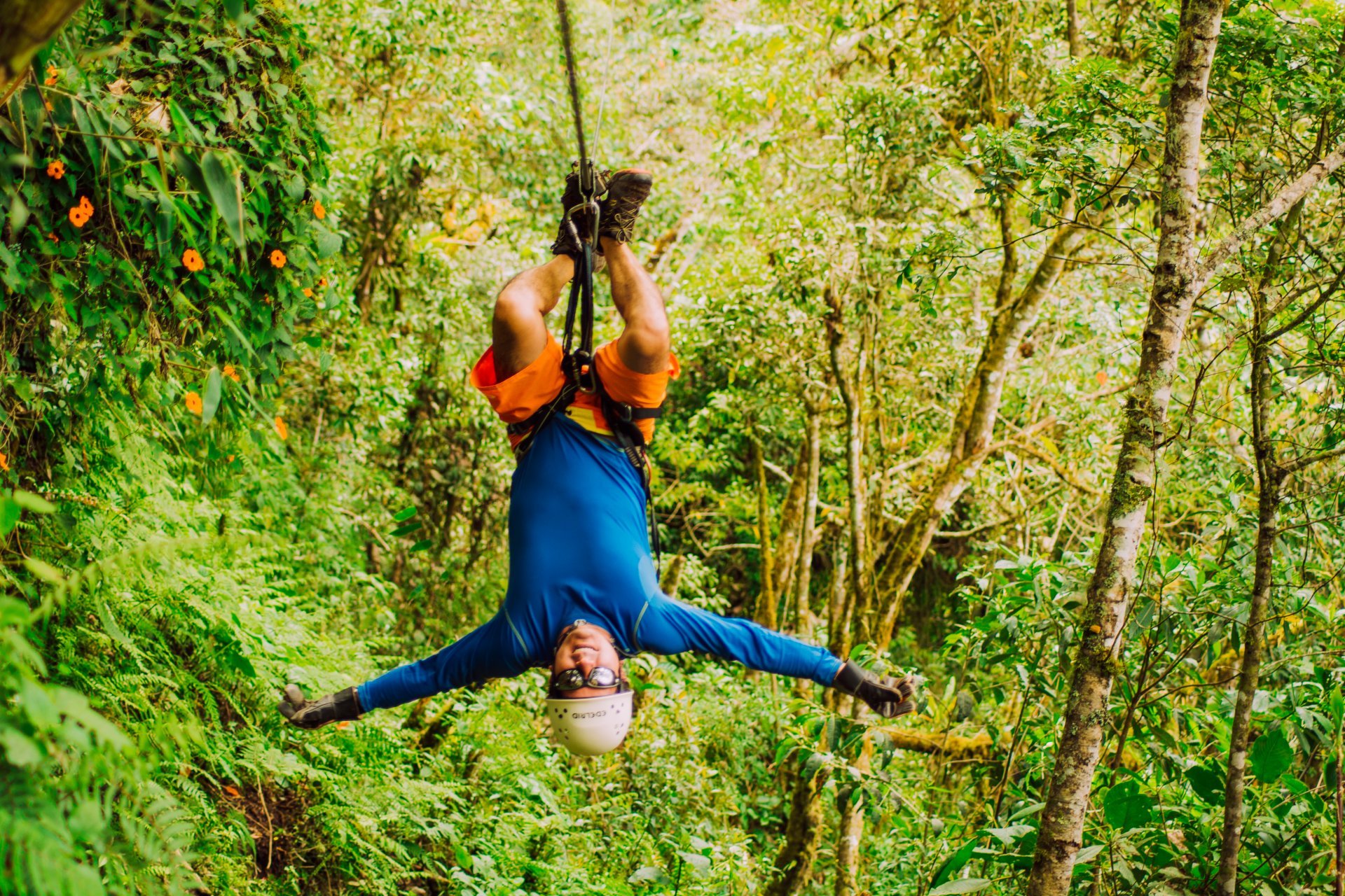 Canopy