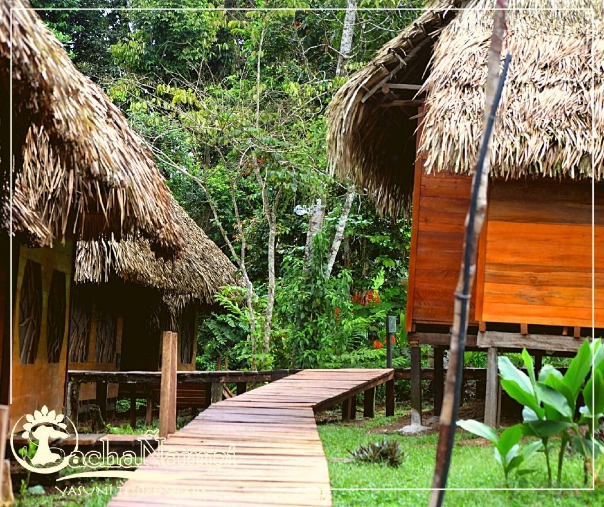EXPLORANDO  EL SENDERO DEL JAGUAR 4 DIAS  3 NOCHES