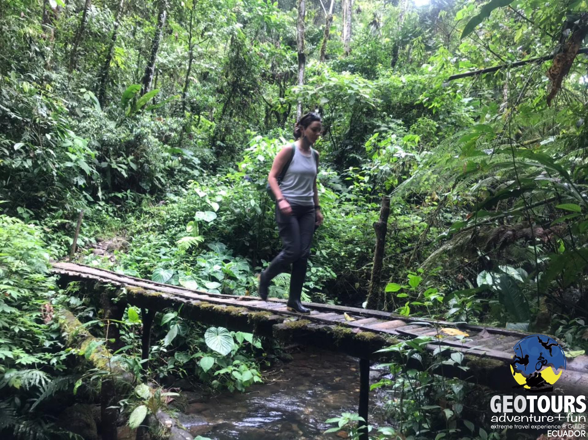 Puyopungo – Tour amazonía 