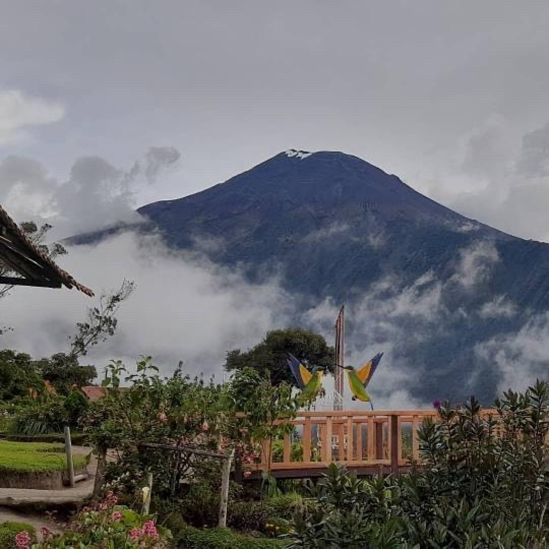Casa del Árbol en cuadron