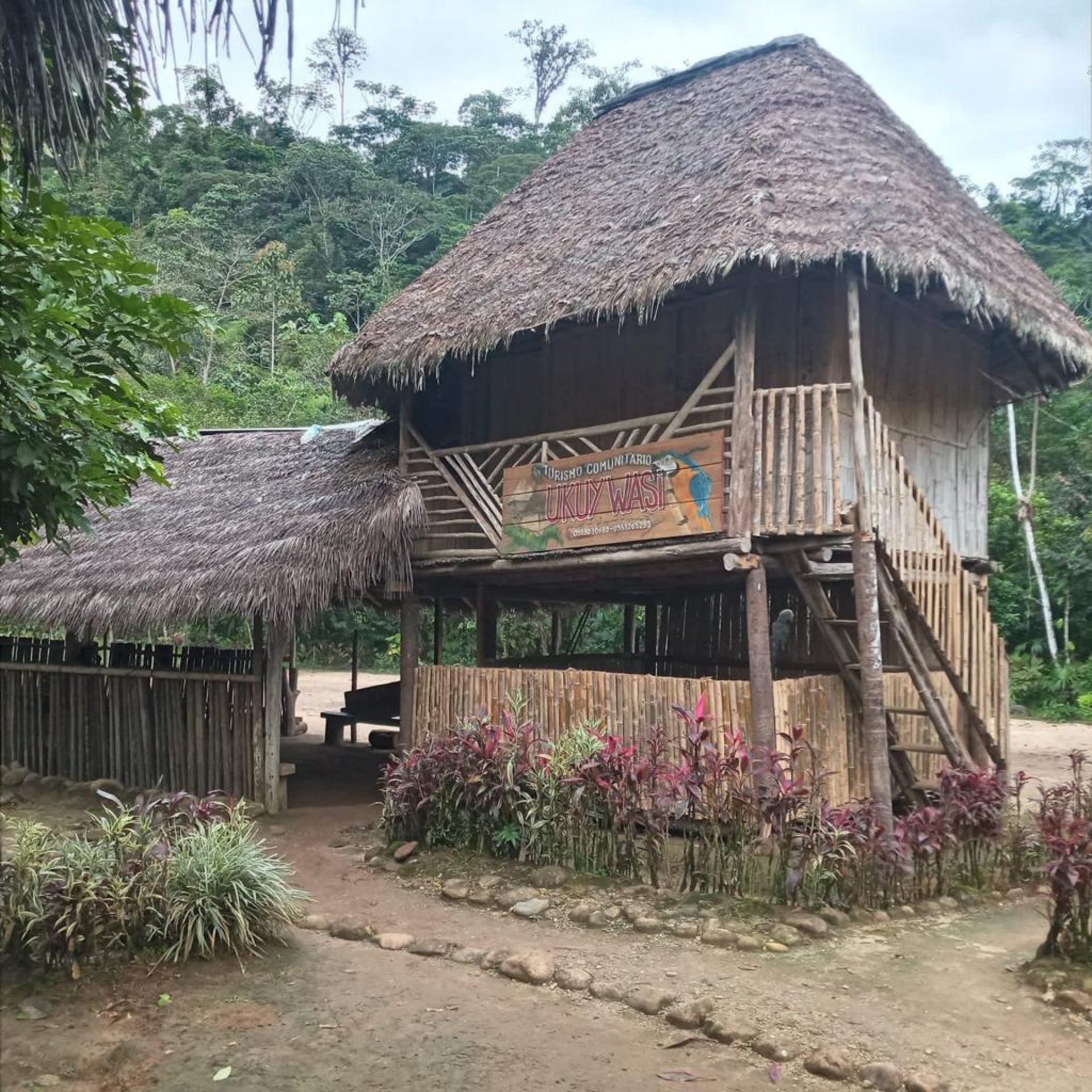 Puyopungo 2 Dias- 1 Noche