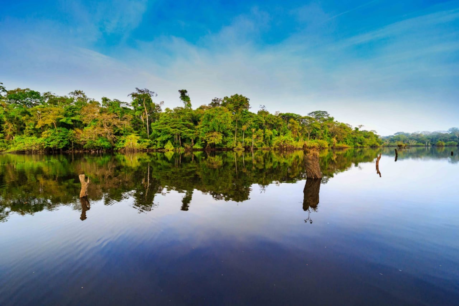 Yasuní 4 Días -3 Noches