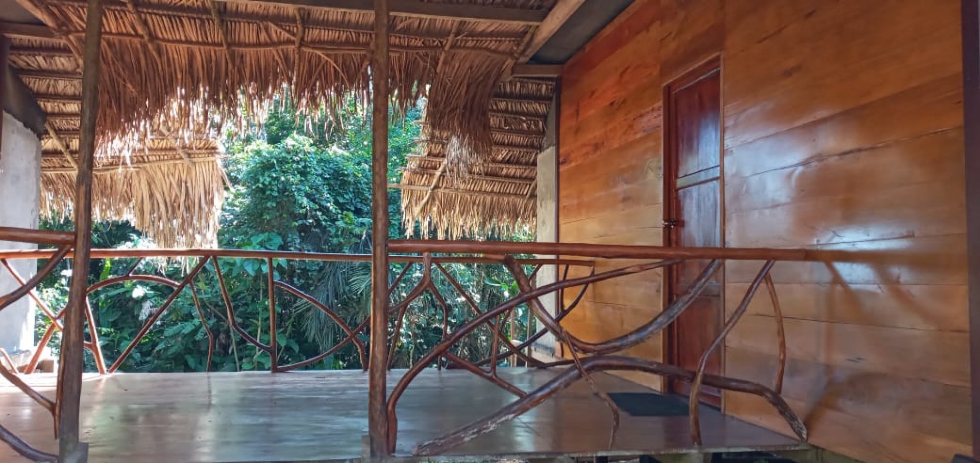 Yasuní 5 Días - 4 Noches