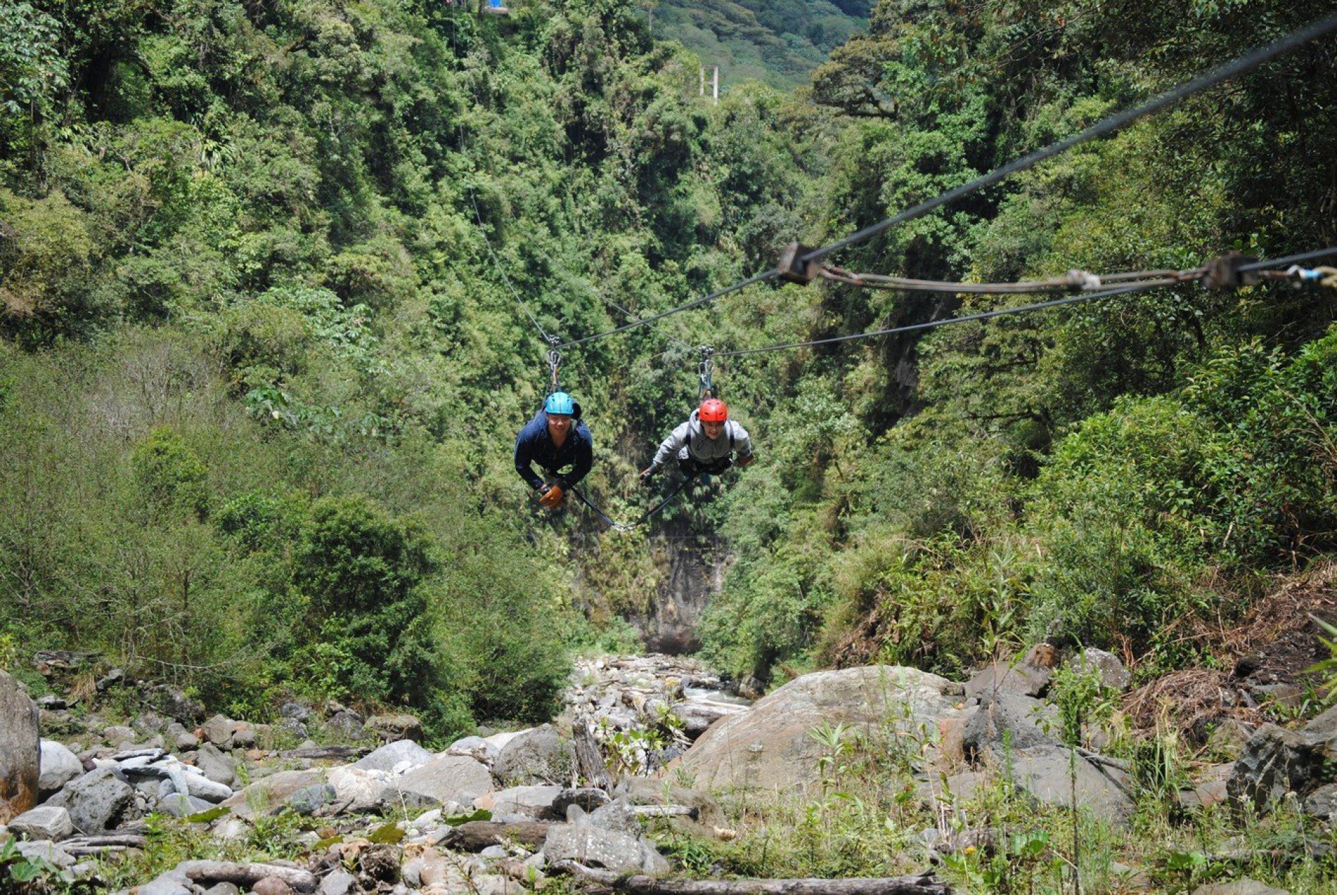 Canopy